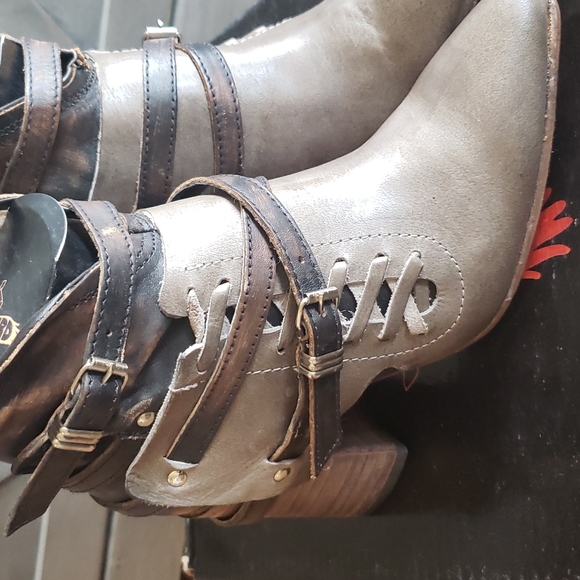 Freebird Jerome - Picture 5 of 9